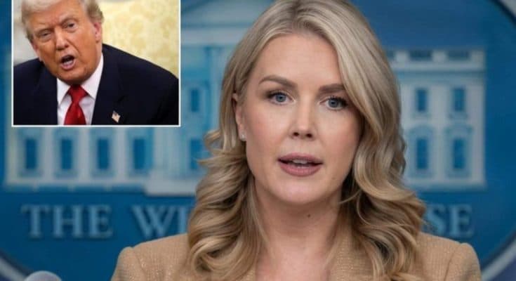 Leavitt Sets Media Straight With Fact-Check On Joe Biden